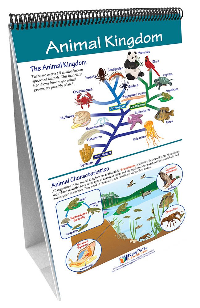 Six Kingdoms Of Living Organisms Chart