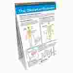 Human Body I: Moving & Controlling the Body—NewPath Science Flip Chart Set