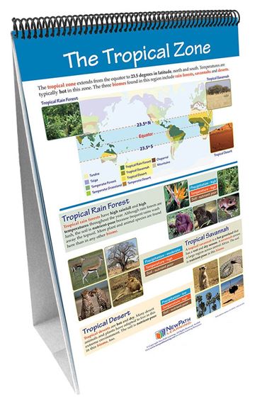 Earth's Climate—NewPath Science Flip Chart Set