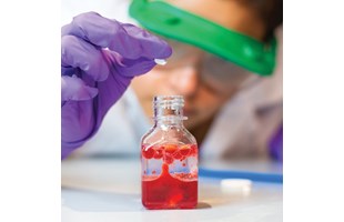 Evidence Linking Chemicals And Learning >> Flinn Scientific Evidence Linking Chemicals And Learning >> Flinn Scientific