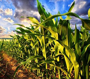 Try a Unit from the Award-Winning IMSA Fusion STEM Program