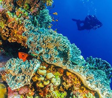 Try a Unit from the Award-Winning IMSA Fusion STEM Program