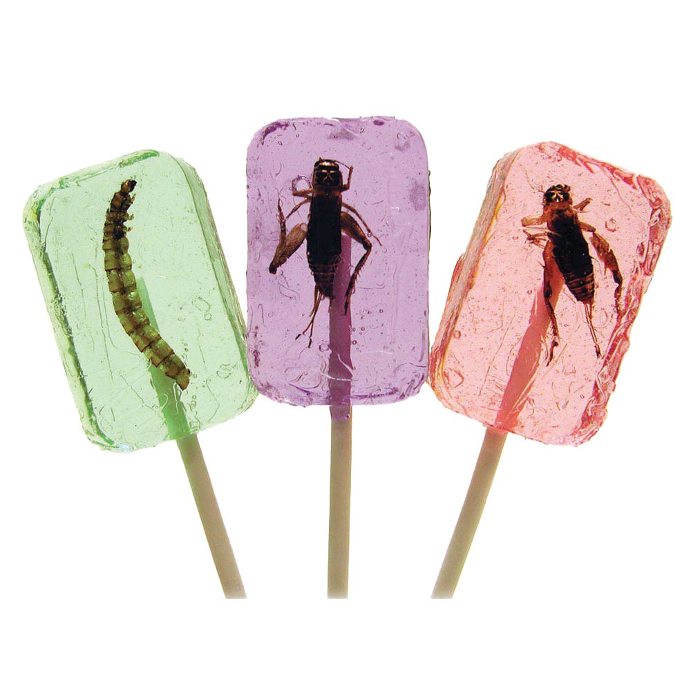 Bug Lollies (box of 36 All Larva)