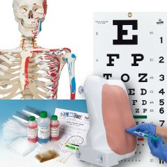 Health and Medical Sciences