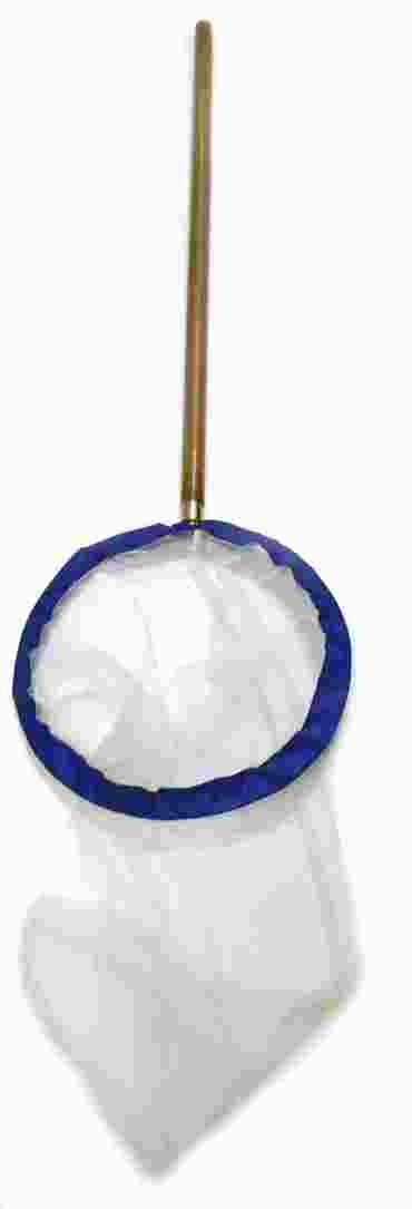 Student Insect Net