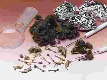 Owl Pellets for Dissection in Biology and Life Science, Pkg. of 15