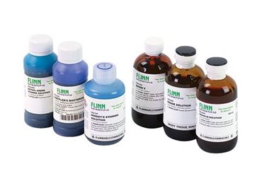 Basic Stain Set for Microscopy Studies