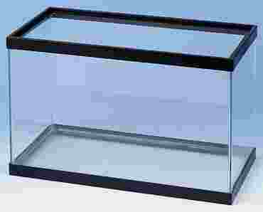 Glass Aquarium 5.5 Gallon