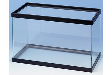 Glass Aquarium 5.5 Gallon