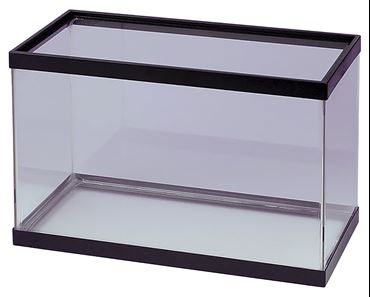 Glass Aquarium 5.5 Gallon