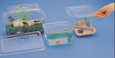 Aquarium or Terrarium Tank with Screen Cover, 0.5 Gallon