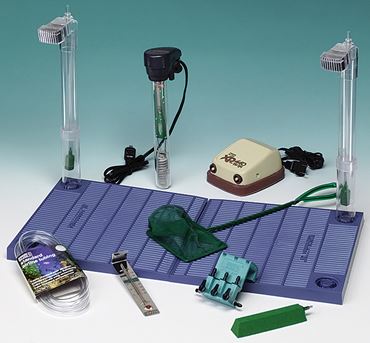 Aquarium Starter Kit for 10-Gallon Tank