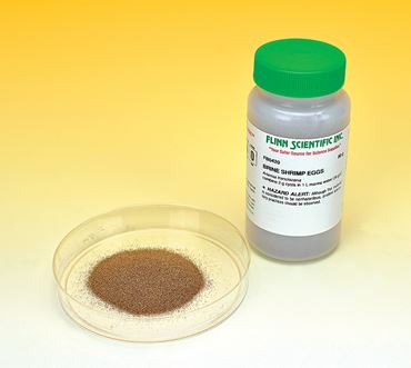 Brine Shrimp Eggs (Sea Monkeys) 80 g