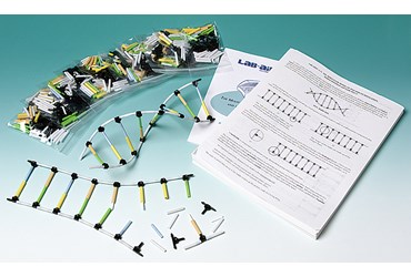 Molecular Model of DNA and Its Replication Activity Kit for Biology and Life Science