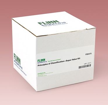 classification, classifying, taxonomy