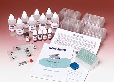 Normal Mitosis Microscopy Kit for Biology and Life Science