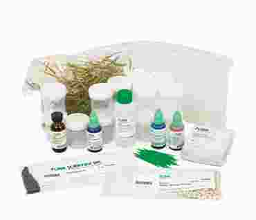 Introductory Bacteria and Microbiology Study Kit