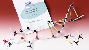 Individual DNA and Molecular Model Kit for Biology and Life Science