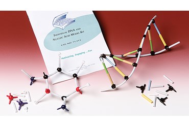 Individual DNA and Molecular Model Kit for Biology and Life Science