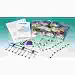 DNA and RNA Protein Synthesis Kit for Biology and Life Science