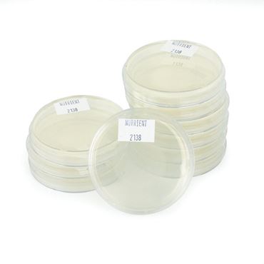 Nutrient Agar