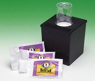 Brine Shrimp (Artemia) Hatchery