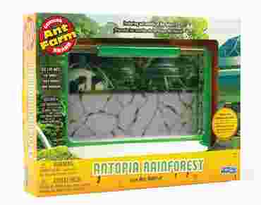 Giant Ant Farm for Biology and Life Science