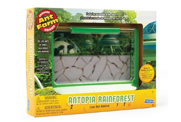Giant Ant Farm for Biology and Life Science