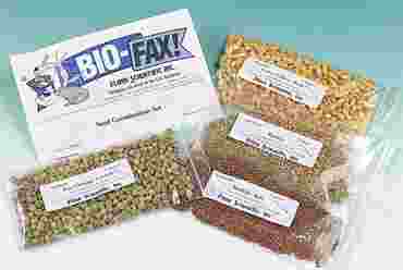 Seed Germination Set for Biology and Life Science