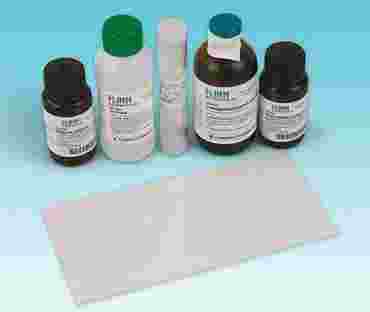 Plant Pigment Chromatography Laboratory Kit for Biology and Life Science