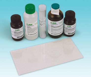 Plant Pigment Chromatography Laboratory Kit for Biology and Life Science