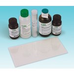 Plant Pigment Chromatography Laboratory Kit for Biology and Life Science