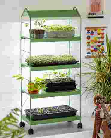 Economy Plant Stand for Biology and Life Science