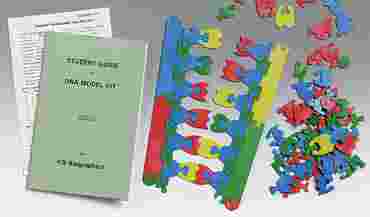 Student DNA Model Kit for Biology and Life Science