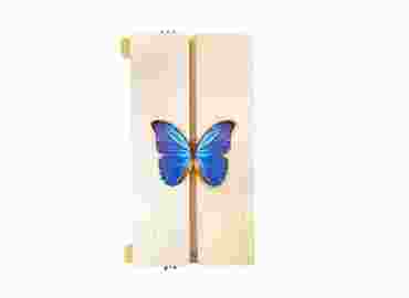 Adjustable Insect Spreading Board