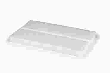 Economy Insect Spreading Board