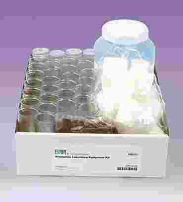 drosophila, fruit fly
