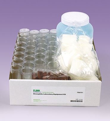 drosophila, fruit fly