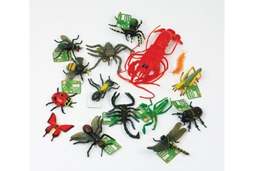 Arthropod Classification Activity Kit for Biology and Life Science