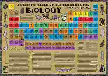 Biology Periodic Table Chart