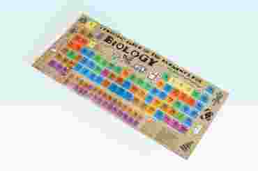 Biology Periodic Table Chart