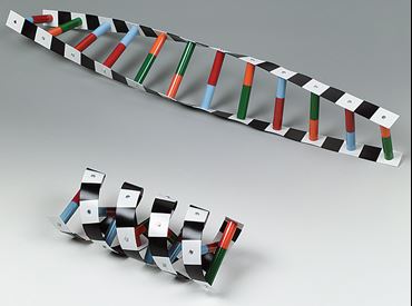 DNA Model for Biology and Life Science