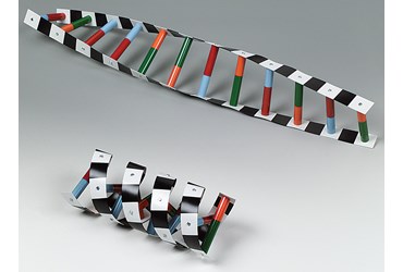DNA Model for Biology and Life Science