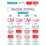 Blood Typing Chart