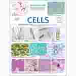 Cell Types Poster for Biology and Life Science