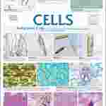 Cell Types Poster for Biology and Life Science