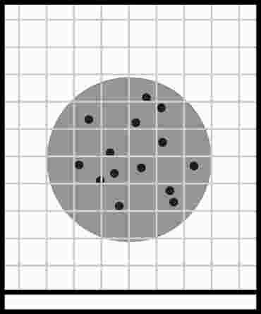 petrifilm, plates, spreader