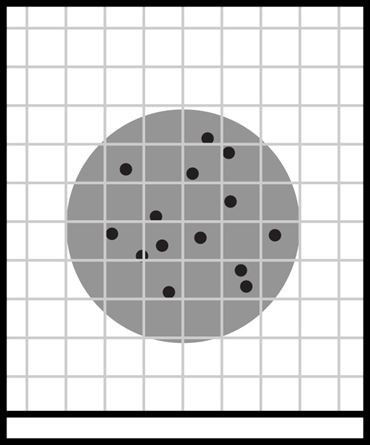 petrifilm, plates, spreader