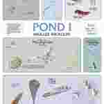 Pond and Smaller Microlife Poster for Biology and Life Science