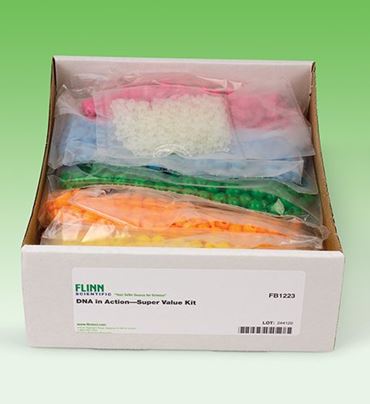 replication, transcription, translation